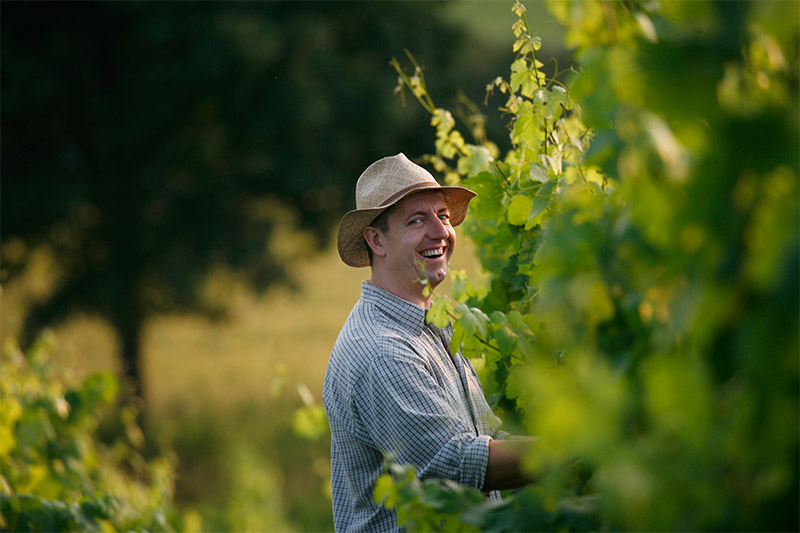 Fränkische Winzer im Weinberg