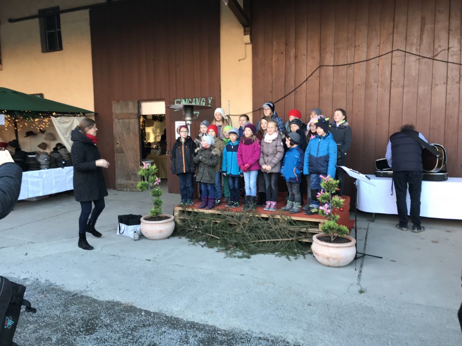 Chor am Weihnachtsmarkt in Franken