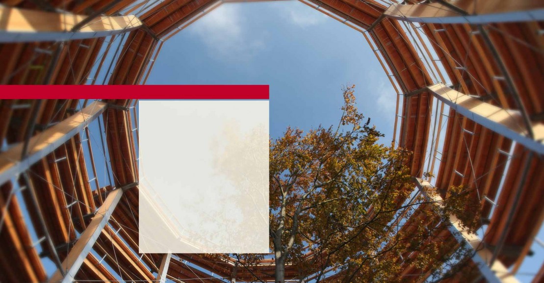 Baumwipfelpfad Ebrach